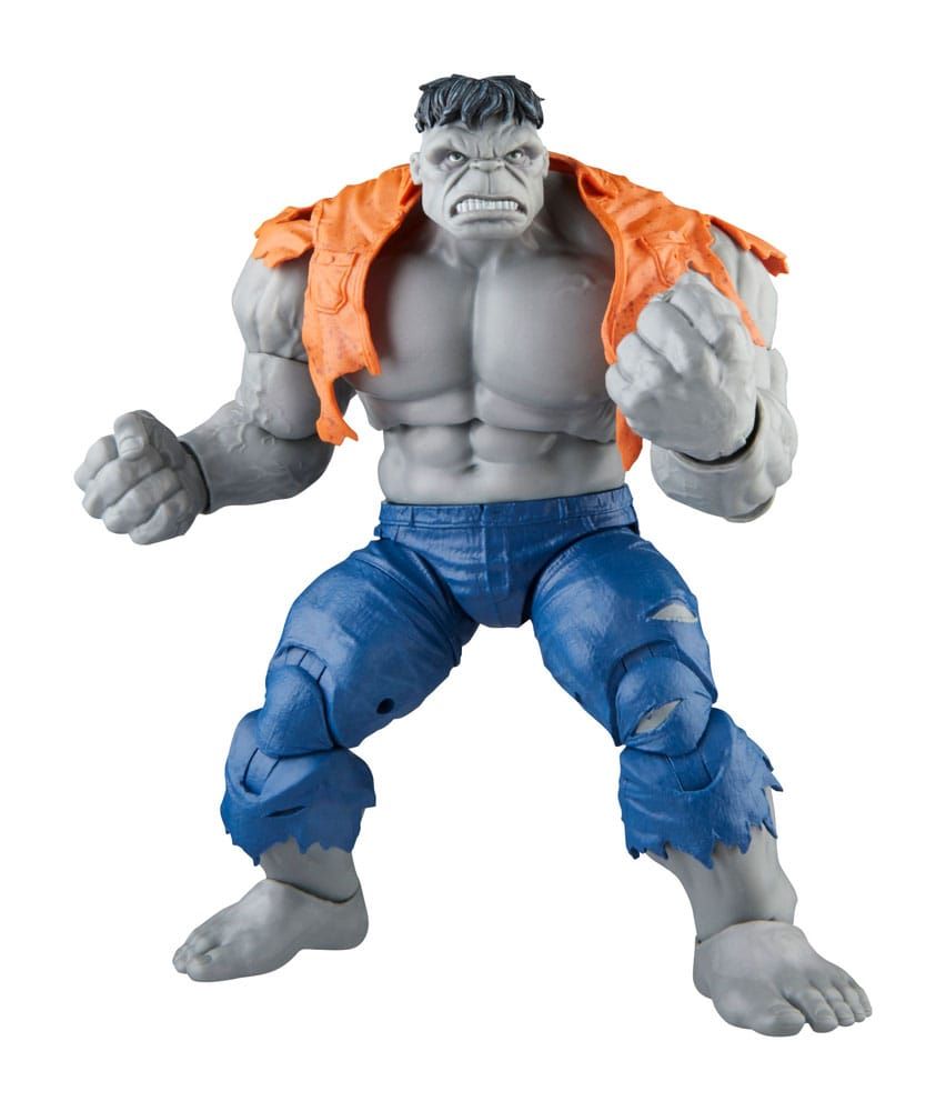 Marvel Legends Avengers Beyond Earth's Mightiest Gray Hulk & Dr Bruce Banner Action Figures