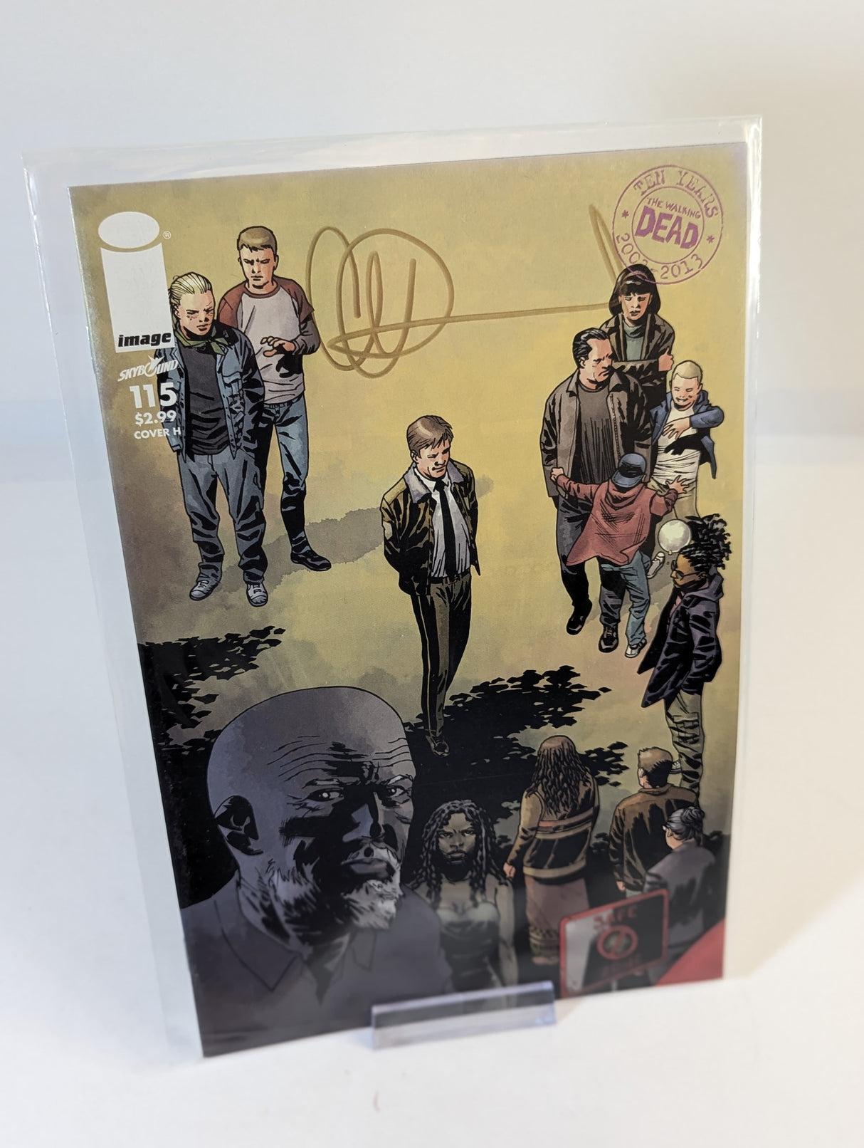 The Walking Dead 10th Anniversary Comic Bundle Signed/Autographed by Charlie Adlard