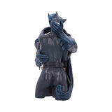 DC Comics - Batman and Catwoman Bust Sculpture Statue