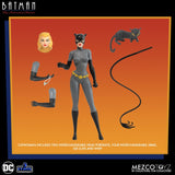 DC Comics Batman Animated Series Catwoman 5 point Action Figure