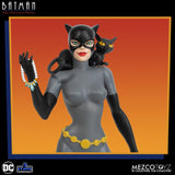 DC Comics Batman Animated Series Catwoman 5 point Action Figure