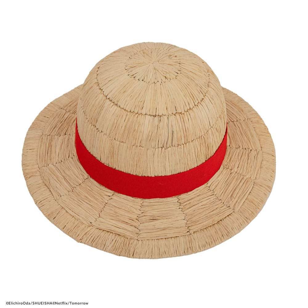 One Piece Hat Luffy Collector Edition Straw Hat