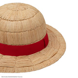 One Piece Hat Luffy Collector Edition Straw Hat