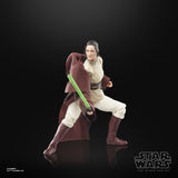 Star Wars: The Acolyte Black Series Jedi Master Indara 15cm Action Figure