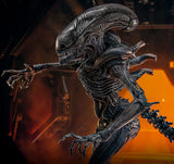 Alien Romulus Movie Masterpiece Scorched Xenomorph 44 cm 1/6 Action Figure