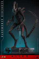 Alien Romulus Movie Masterpiece Scorched Xenomorph 44 cm 1/6 Action Figure