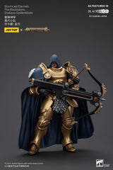 Warhammer Age of Sigmar Stormcast Eternals The Blacktalons Shakana Goldenblade 20 cm Action Figure