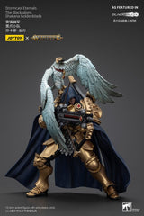 Warhammer Age of Sigmar Stormcast Eternals The Blacktalons Shakana Goldenblade 20 cm Action Figure