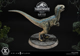 Jurassic World Fallen Kingdom Baby Blue 34 cm 1/2 Prime Collectibles Statue