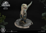 Jurassic World Fallen Kingdom Baby Blue 34 cm 1/2 Prime Collectibles Statue