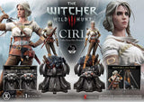 The Witcher 3 Wild Hunt Ciri Fiona Elen Riannon Bonus Version 81 cm 1/3 Museum Masterline Statue