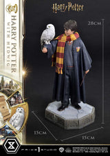 Harry Potter Harry Potter with Hedwig 28cm 1/6 Scale Prime Collectibles Statue