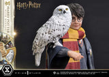 Harry Potter Harry Potter with Hedwig 28cm 1/6 Scale Prime Collectibles Statue