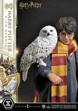 Harry Potter Harry Potter with Hedwig 28cm 1/6 Scale Prime Collectibles Statue