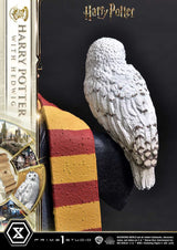 Harry Potter Harry Potter with Hedwig 28cm 1/6 Scale Prime Collectibles Statue