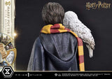 Harry Potter Harry Potter with Hedwig 28cm 1/6 Scale Prime Collectibles Statue