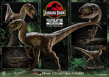 Jurassic Park Velociraptor Open Mouth 19 cm 1/10 Prime Collectibles Statue