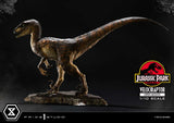 Jurassic Park Velociraptor Open Mouth 19 cm 1/10 Prime Collectibles Statue