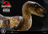 Jurassic Park Velociraptor Open Mouth 19 cm 1/10 Prime Collectibles Statue