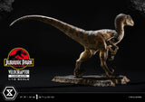 Jurassic Park Prime Collectibles Velociraptor Closed Mouth 19 cm 1/10 Statue