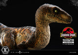 Jurassic Park Prime Collectibles Velociraptor Closed Mouth 19 cm 1/10 Statue