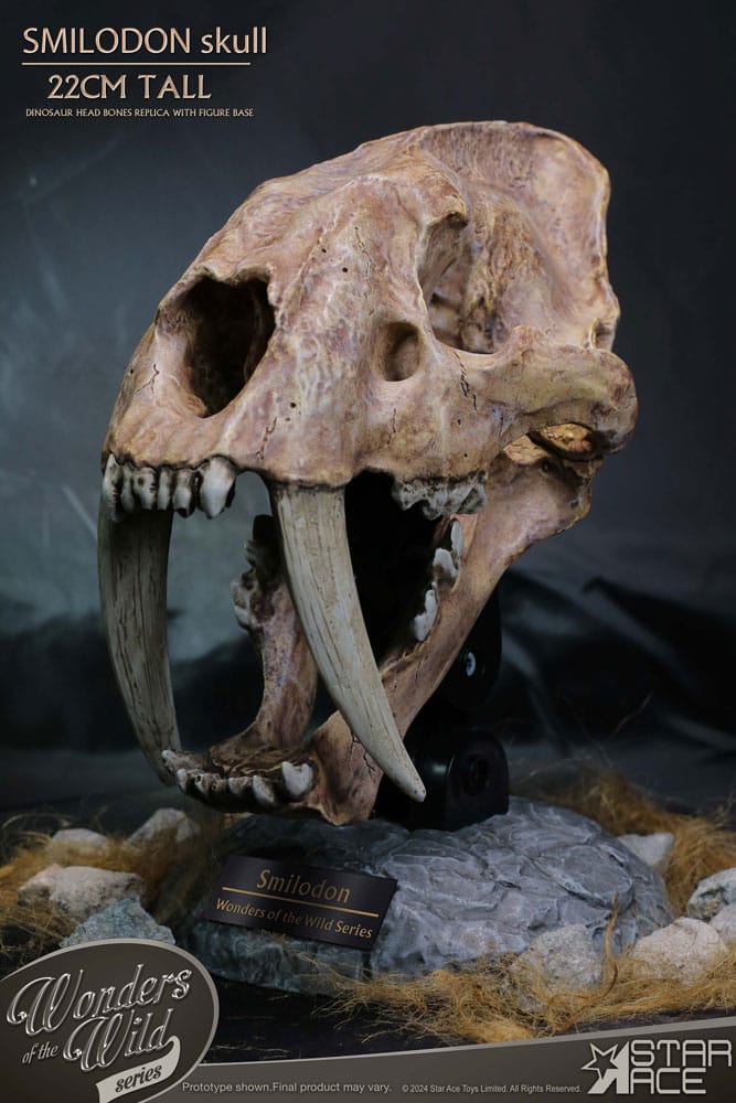 Wonders of the Wild Smilodon Skull Fossil 22 cm Series Statue