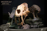 Wonders of the Wild Smilodon Skull Fossil 22 cm Series Statue