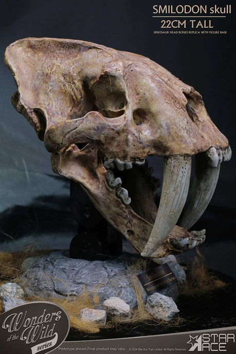 Wonders of the Wild Smilodon Skull Fossil 22 cm Series Statue