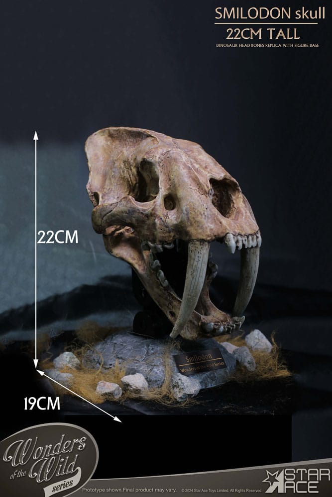 Wonders of the Wild Smilodon Skull Fossil 22 cm Series Statue