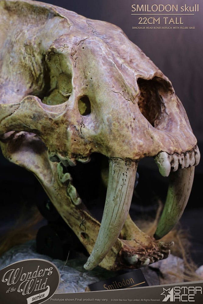 Wonders of the Wild Smilodon Skull Fossil 22 cm Series Statue