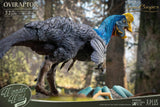 Wonders of the Wild Oviraptor (re-run) 32 cm Statue