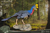 Wonders of the Wild Oviraptor 32 cm Statue