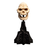 Lord of the Rings Skull of Lurtz 14 cm Mini Statue