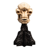 Lord of the Rings Skull of a Cave Troll 21 cm Mini Statue