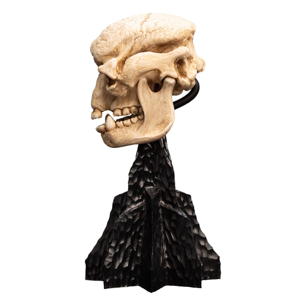 Lord of the Rings Skull of a Cave Troll 21 cm Mini Statue