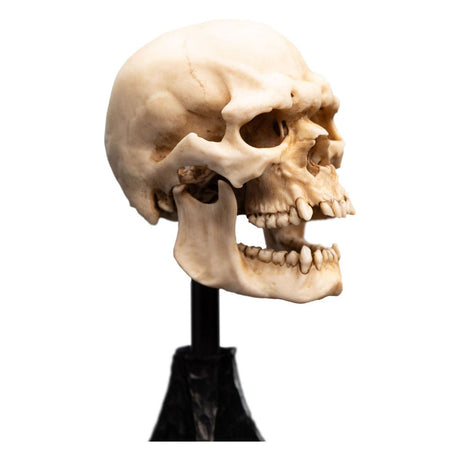 Lord of the Rings Skull of a Mordor Orc 14 cm Mini Statue