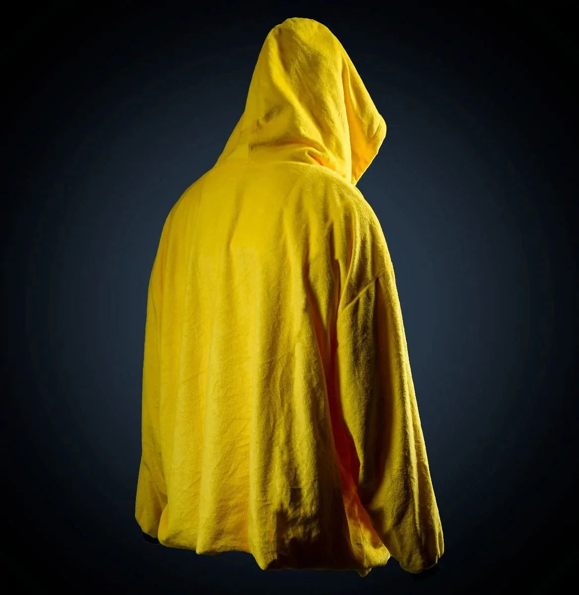 Hufflepuff hot sale hooded blanket